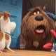 The Secret Life Of Pets